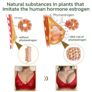 AnnieCare Pueraria Mirifica Papaya Breast Enhancement Capsules
