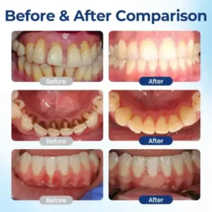 Alisanda® BeeTakt Oral Repair Solution